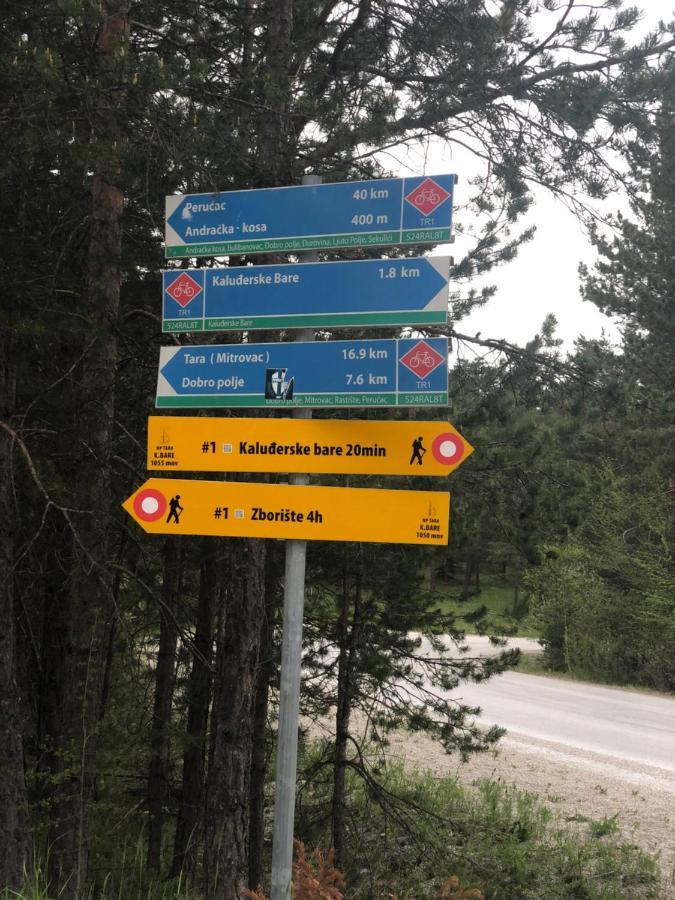 Vikendica Maksimovic - Tara - Primamo Vaucere Villa Kaludjerske Bare Kültér fotó